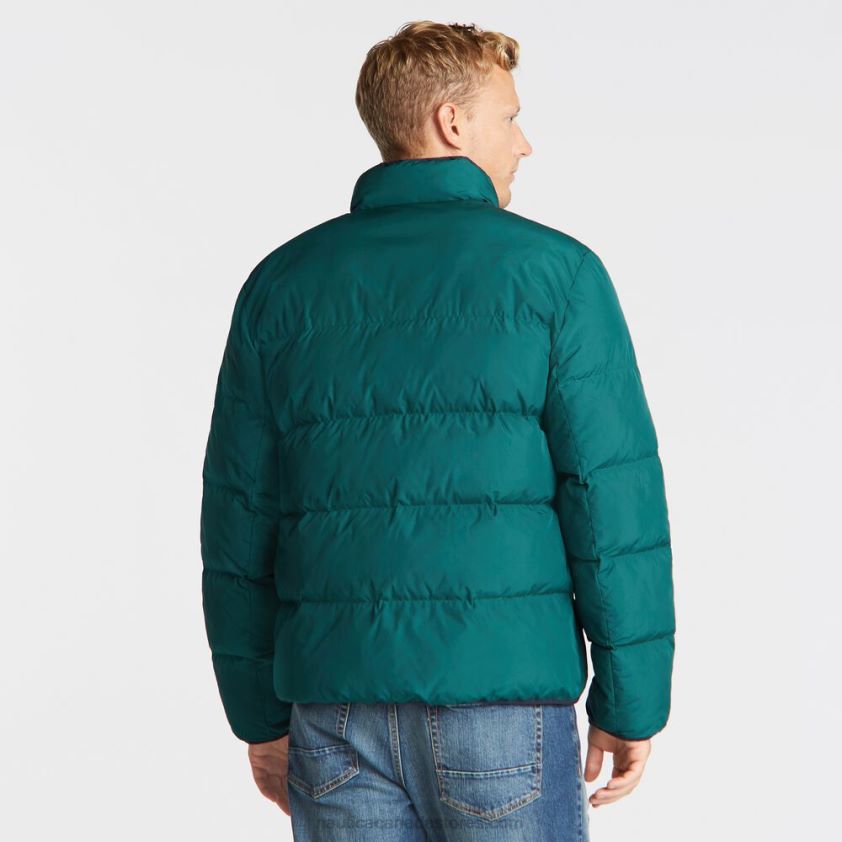 Big & Tall Puffer Jacket With Tempasphere Nautica Men Olive R260HV641